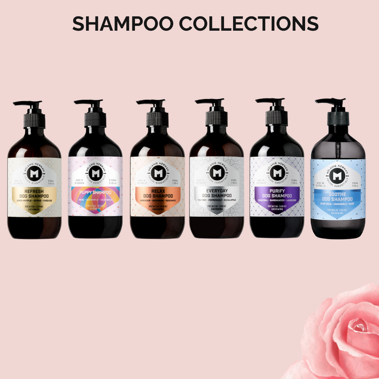 Shampoo