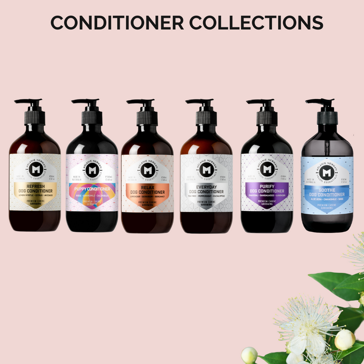 Conditioner